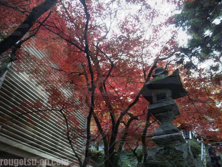 11月下旬が見頃 京都に負けない 隠れた名所大雄山最乗寺の紅葉 バイクでお散歩 朧月庵