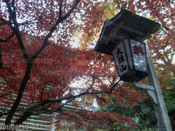 11月下旬が見頃 京都に負けない 隠れた名所大雄山最乗寺の紅葉 バイクでお散歩 朧月庵